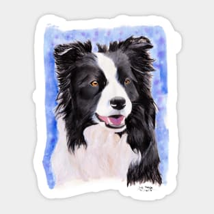 Border Collie - Sheep Dog Sticker